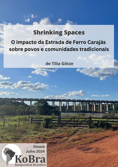 O impacto da Estrada de Ferro Carajás sobre povos e comunidades tradicionais